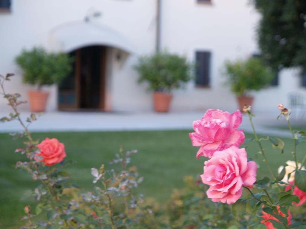 Col Delle Rane Bed & Breakfast Caerano Di San Marco Bagian luar foto
