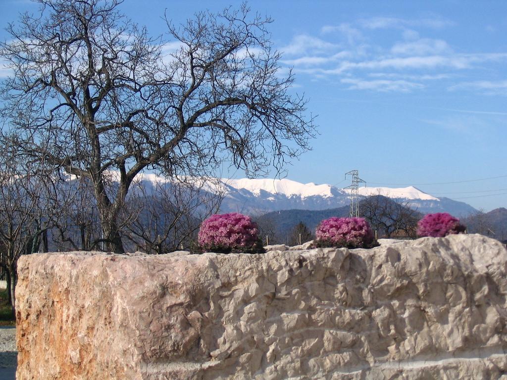 Col Delle Rane Bed & Breakfast Caerano Di San Marco Bagian luar foto